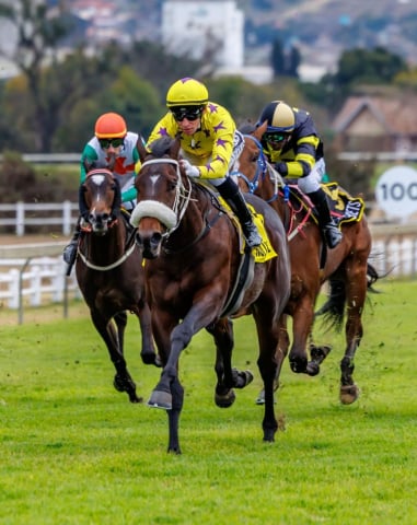 20260729 – SPARROW MAN wins Scottsville – 872 (8)