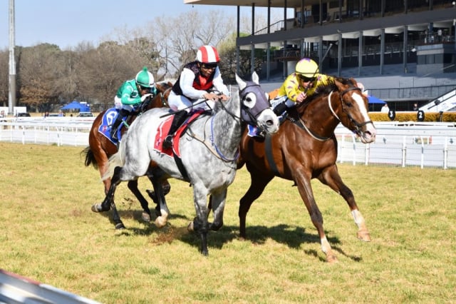 20260801 – CULTURATI wins Turffontein – 873 (15)