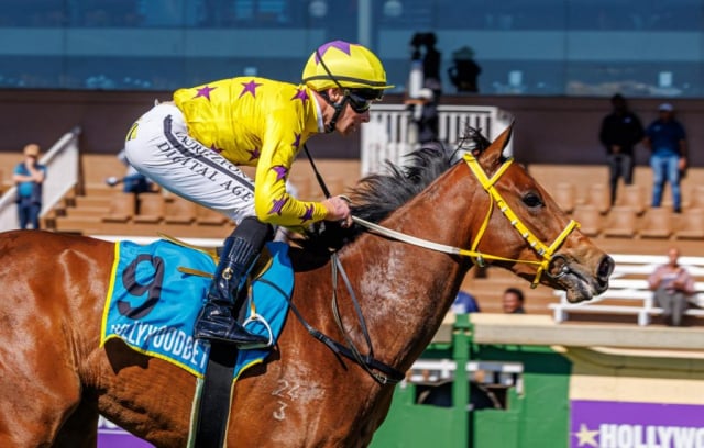 20260802 – UMOYAWOKUBAMBELELA wins Scottsville – 874 (10)