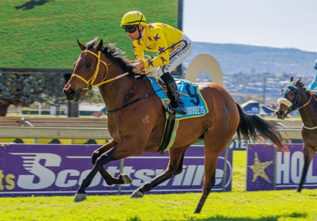20260802 – UMOYAWOKUBAMBELELA wins Scottsville – 874 (14)
