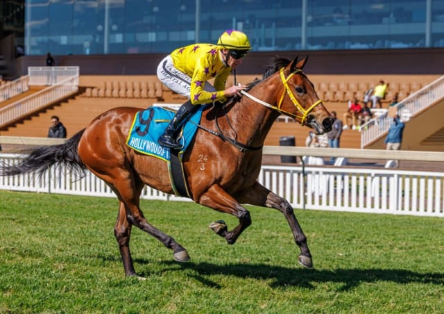 20260802 – UMOYAWOKUBAMBELELA wins Scottsville – 874 (7)