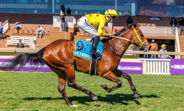 20260802 – UMOYAWOKUBAMBELELA wins Scottsville – 874 (9)