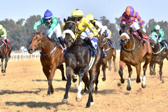 20260806 – COOL GAMBLER wins Vaal – 875 (1)