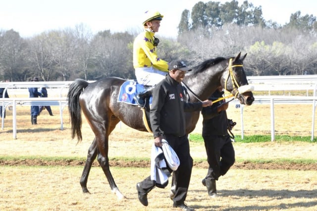 20260806 – COOL GAMBLER wins Vaal – 875 (11)