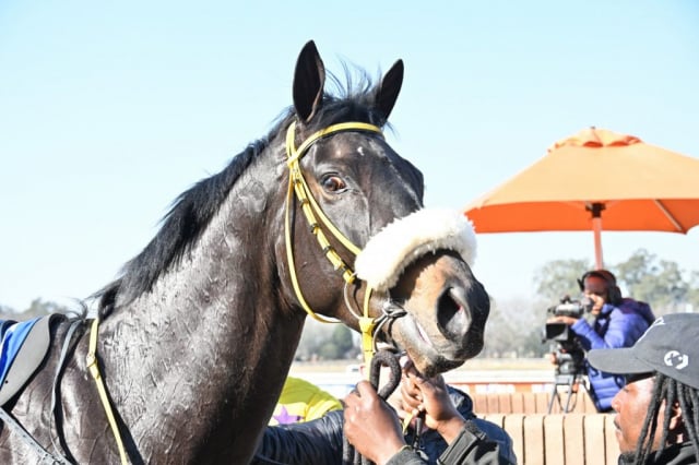 20260806 – COOL GAMBLER wins Vaal – 875 (15)