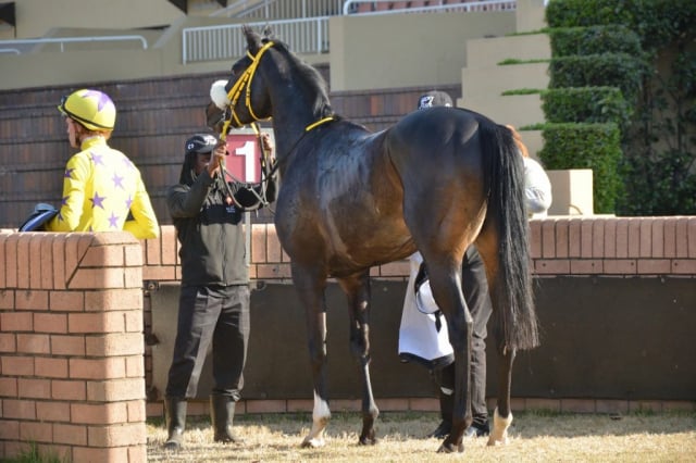 20260806 – COOL GAMBLER wins Vaal – 875 (18)