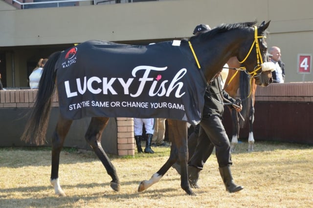 20260806 – COOL GAMBLER wins Vaal – 875 (21)