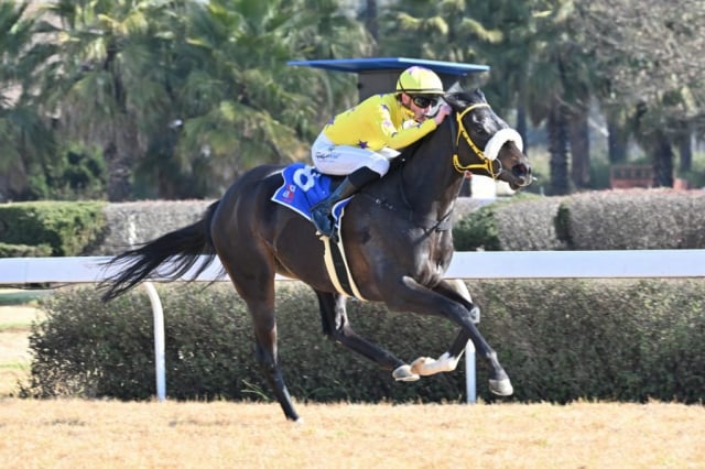 20260806 – COOL GAMBLER wins Vaal – 875 (7)