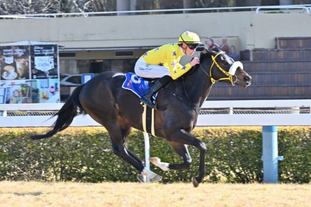 20260806 – COOL GAMBLER wins Vaal – 875 (9)