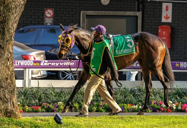 20260807 – SKIPPER ZIP wins Greyville – 877 (1)