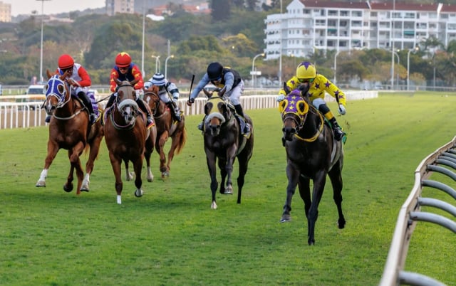 20260807 – SKIPPER ZIP wins Greyville – 877 (11)
