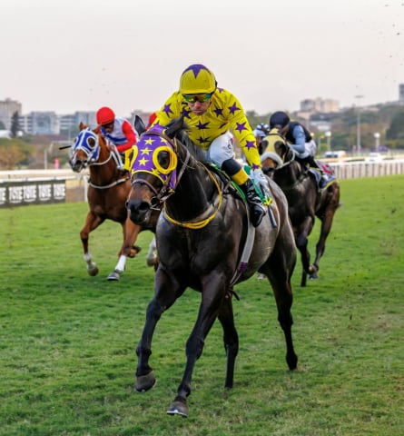 20260807 – SKIPPER ZIP wins Greyville – 877 (13)