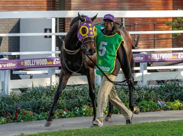 20260807 – SKIPPER ZIP wins Greyville – 877 (2)