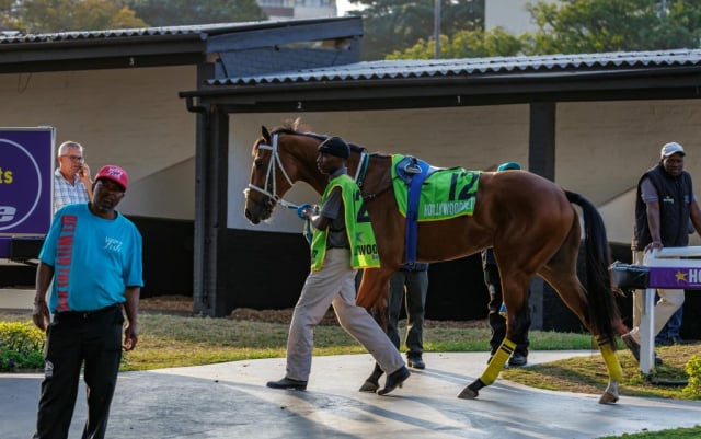 20260807 – SKIPPER ZIP wins Greyville – 877 (25)