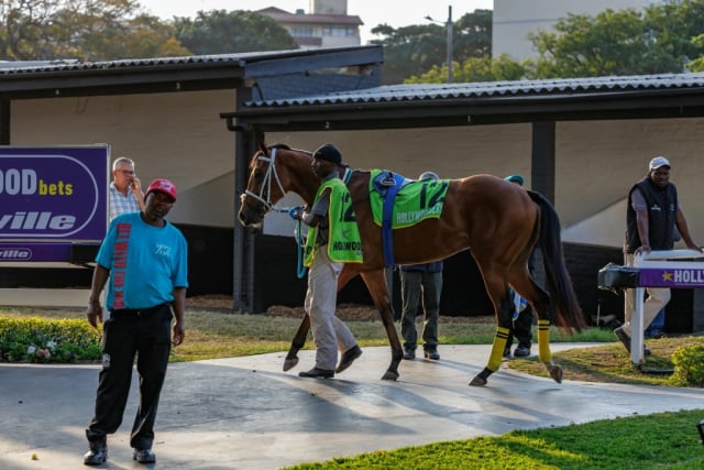 20260807 – SKIPPER ZIP wins Greyville – 877 (26)