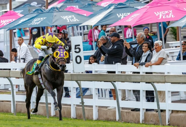 20260807 – SKIPPER ZIP wins Greyville – 877 (27)