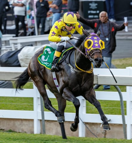 20260807 – SKIPPER ZIP wins Greyville – 877 (29)