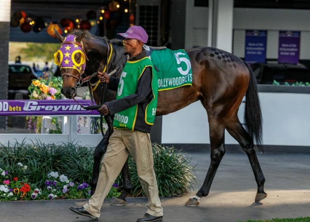 20260807 – SKIPPER ZIP wins Greyville – 877 (3)