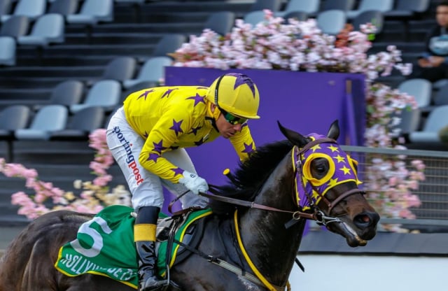 20260807 – SKIPPER ZIP wins Greyville – 877 (32)