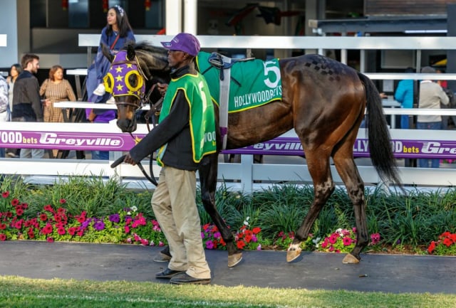 20260807 – SKIPPER ZIP wins Greyville – 877 (5)