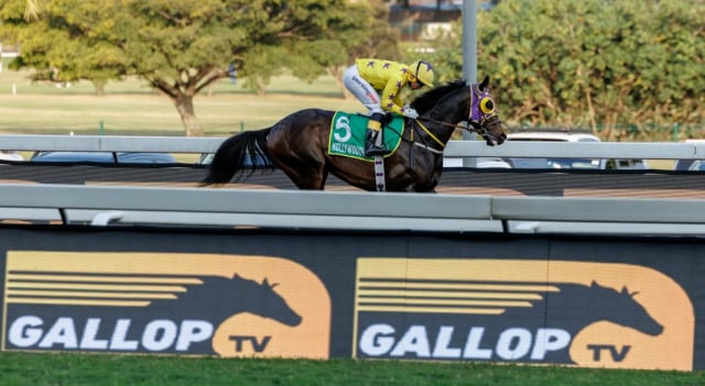 20260807 – SKIPPER ZIP wins Greyville – 877 (9)