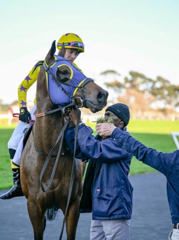 20260812 – VOORLOOPERTJIE wins Kenilworth – 881 (16)