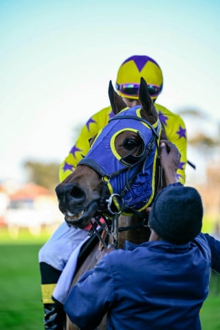 20260812 – VOORLOOPERTJIE wins Kenilworth – 881 (17)