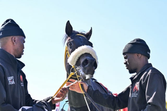 20260816 – RECKLESS ABANDON wins Turffontein – 883 (14)