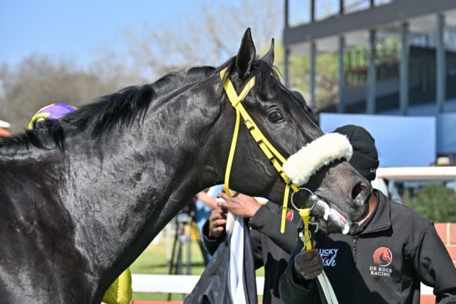 20260816 – RECKLESS ABANDON wins Turffontein – 883 (15)