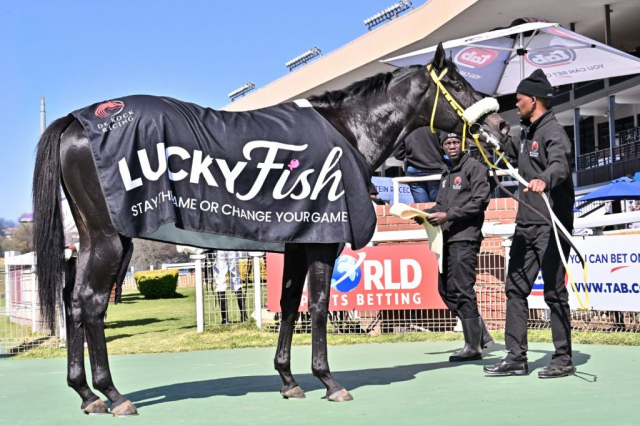 20260816 – RECKLESS ABANDON wins Turffontein – 883 (16)
