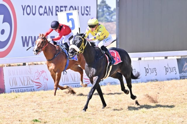 20260816 – RECKLESS ABANDON wins Turffontein – 883 (3)