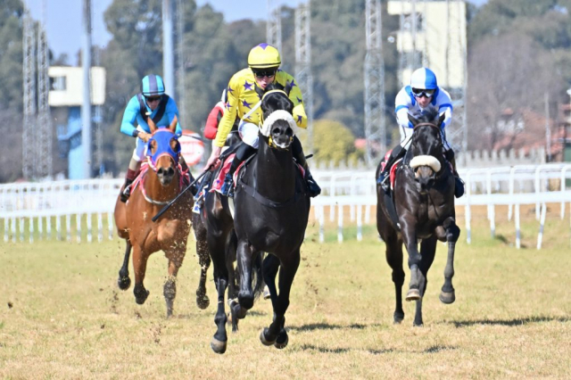20260816 – RECKLESS ABANDON wins Turffontein – 883 (6)