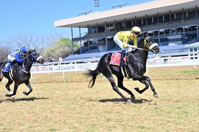 20260816 – RECKLESS ABANDON wins Turffontein – 883 (8)