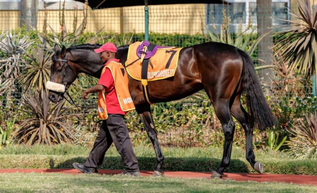 20260809 – Preux Chavalier runs at Scottsville (1)