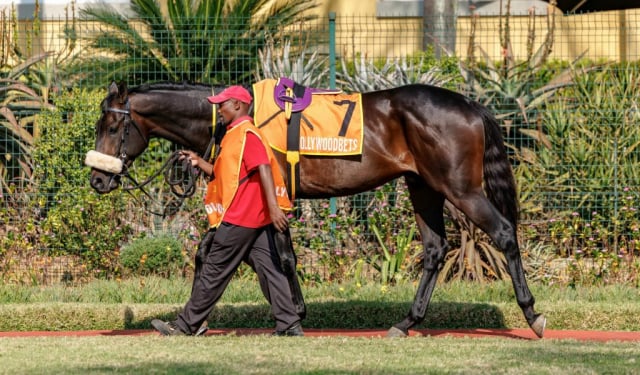20260809 – Preux Chavalier runs at Scottsville (2)