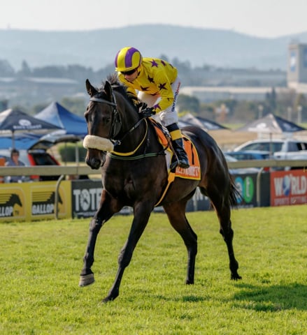 20260809 – Preux Chavalier runs at Scottsville (3)
