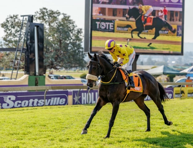 20260809 – Preux Chavalier runs at Scottsville (4)