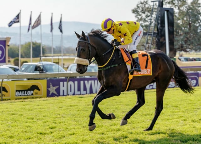 20260809 – Preux Chavalier runs at Scottsville (5)