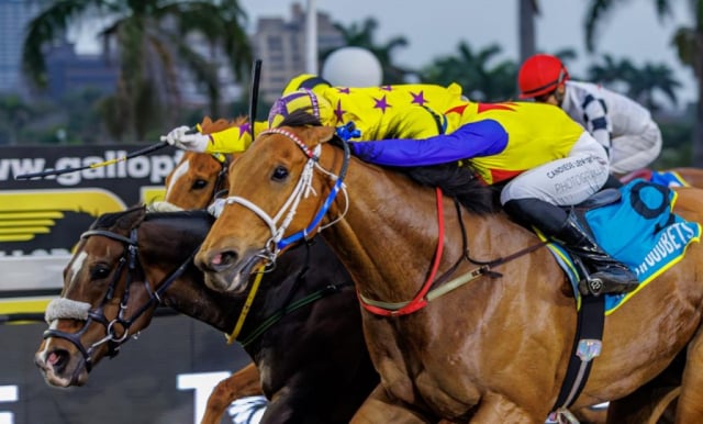 20260821 – MAPHAKA wins Greyville – 886 (6)