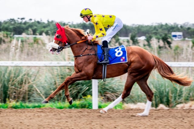 20260904 – DANCING AMBER wins Fairview – 889 (0)