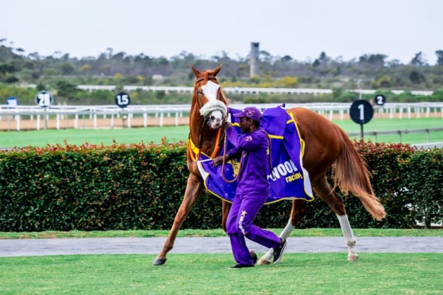20260904 – DANCING AMBER wins Fairview – 889 (12)