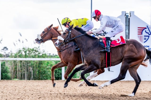 20260904 – DANCING AMBER wins Fairview – 889 (6)