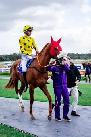 20260904 – DANCING AMBER wins Fairview – 889 (8)