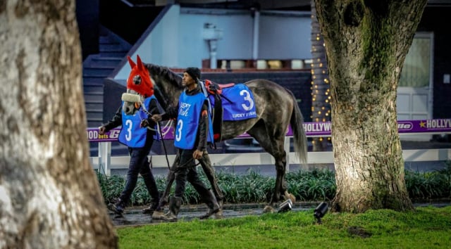 20260904 – NEXT OF KIN wins Greyville – 890 (1)