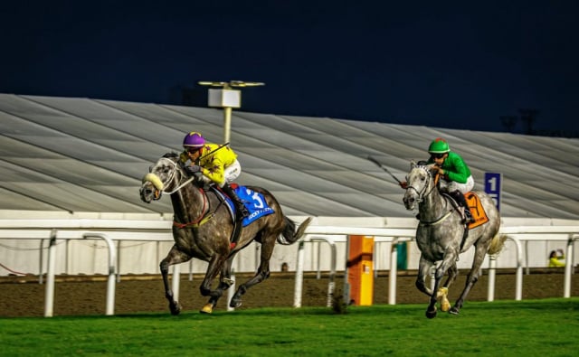 20260904 – NEXT OF KIN wins Greyville – 890 (12)