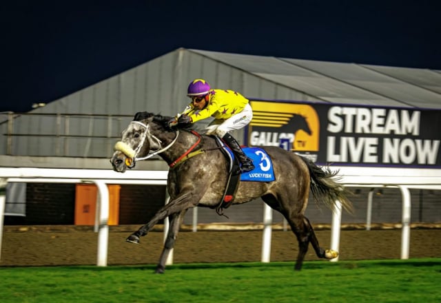 20260904 – NEXT OF KIN wins Greyville – 890 (14)