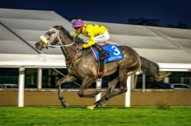 20260904 – NEXT OF KIN wins Greyville – 890 (15)