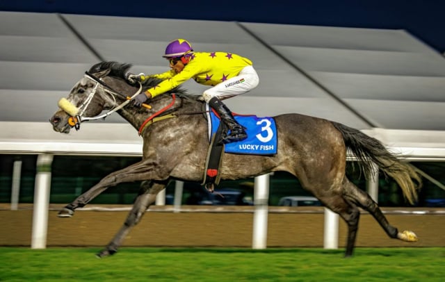 20260904 – NEXT OF KIN wins Greyville – 890 (16)