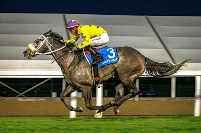 20260904 – NEXT OF KIN wins Greyville – 890 (17)