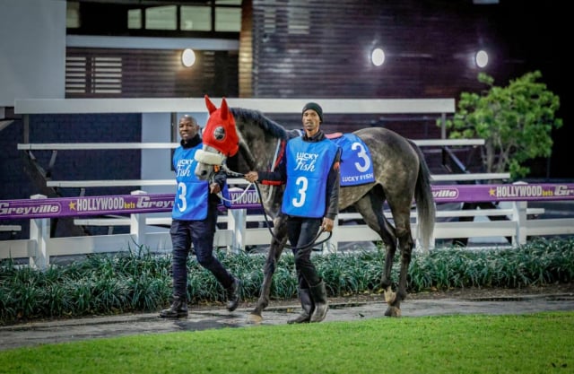 20260904 – NEXT OF KIN wins Greyville – 890 (2)